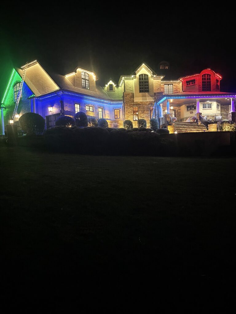 Govee Christmas lighting